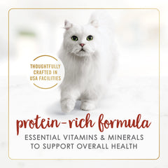 Fancy Feast boeuf et foie grillee dans sauce—saveur riche en protéines pour chats actifs.