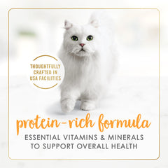 Fancy Feast chat-conserve-dinde-sauce, repas pratique et appétissant.