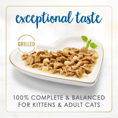 Sauce nappante au cheddar sur des morceaux, arôme séduisant pour chats gourmands.