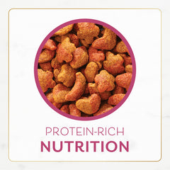Bouchées croquantes riches en vitamines et minéraux pour le bien-être du chat.