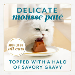 Texture soyeuse de Fancy Feast Gems Pâté Mousse idéale pour chats exigeants.