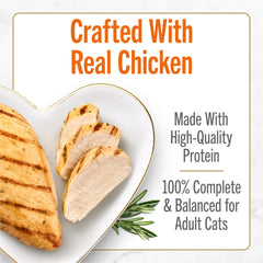 Boîte Fancy Feast Savory Centers 3 onces – format pratique pour repas quotidiens