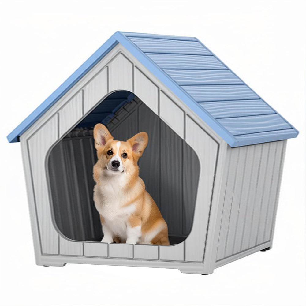 Fancyango - maison pour chien bleu intérieur, design discret et confort.