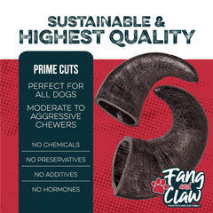 Fang et Claw - os buffle eau favorise une dentition saine au quotidien.