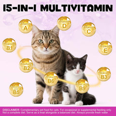 FANGCUN: chat degustant friandise multivitaminee, soutien quotidien.
