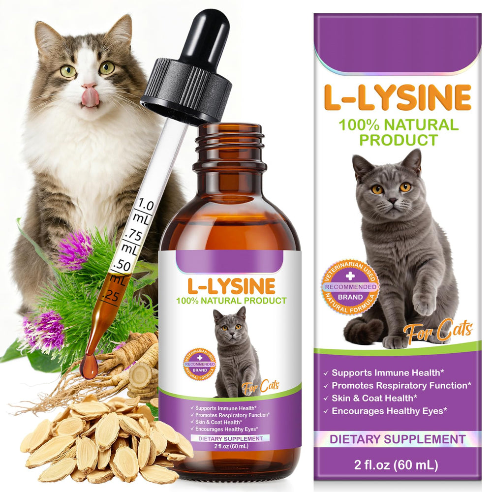 FANGCUN L-Lysine : bouteille 60 ml prête à l'emploi pour le soutien immunitaire félin.