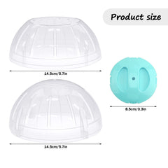 FANKUTOYS balle hamster nain transparente, observez les jeux et évitez l’ennui.