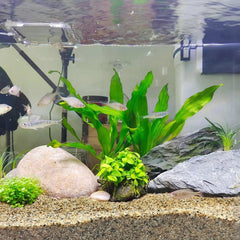 Sable décoratif pour pots et plantes, projets créatifs.