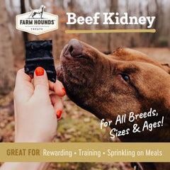 Plan rapproché du rein de bœuf séché Farm Hounds montrant la texture