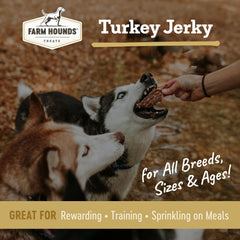 Morceaux pour entraînement Farm Hounds, récompenser l'obéissance avec facilité.