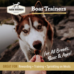 Farm Hounds sanglier-trainers: paquet de 4,5 oz prêt pour récompenses