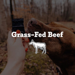 Farm Hounds Beef Trainers – morceaux faciles à casser, parfaits pour l'entraînement