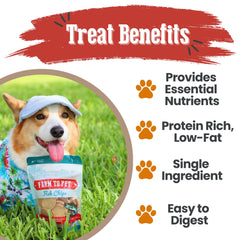 Farm To Pet chips boeuf — récompense protéinée et simple à atteindre en entraînement.