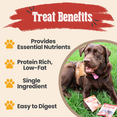 Farm To Pet friandises au poisson, option hypoallergénique pour chiens sensibles.