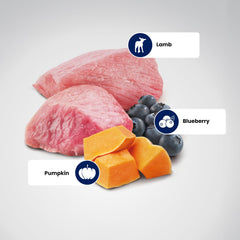 Farmina N&D Lamb & Blueberry ingrédients visibles et recette naturelle