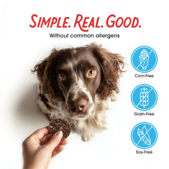 Farmland Traditions – convient à toutes tailles de chiens, faciles à partager.