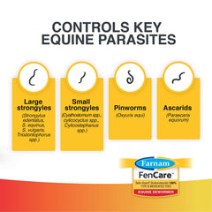 FenCare Safe-Guard contrôle les grands et petits strongyles chez le cheval.