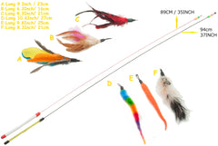 Fashion's Talk plumes couleur fin bouge: plumes qui captivent le chat.