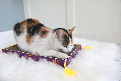 Fat Cat Big Mama's jouet inclus infusé d’herbe à chat
