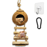 Favozio Coco Hut: cachette gécko sécurisée pour terrarium.