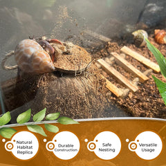 Favozio Cachette naturelle: idéale pour géckos et petits animaux.