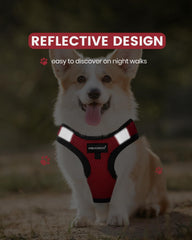 Réflectif Fayogoo pour gilet chien, visibilité nocturne accrue.