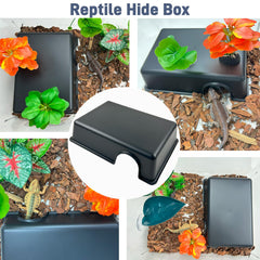 FCALIVV refuge reptile interieur spacieux pour plusieurs especes