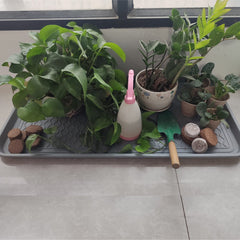 FDGARDEN organisation-plantes-pots: rangement pratique pour plantes et pots dans l'entrée.