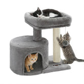 Feandrea Arbre chat petit tour sisal : stimule le griffage naturel et l'exploration.
