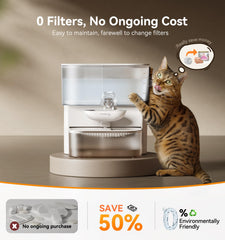 FEELNEEDY fontaine eau bol inox 304, hydratation hygiénique pour chat.