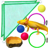 Fejapa hamac axolotl, espace de repos près de la surface pour l’animal.