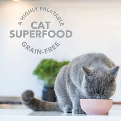 Feline Natural indique un soutien digestif potentiel avec probiotiques et enzymes.