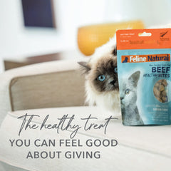 Friandises Feline Natural sans céréales et sans additifs pour estomacs sensibles.