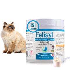 Felisyl L-Lysine, granulés chat, flacon 100 g prêt à parsemer sur nourriture.