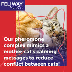 Diffuseur FELIWAY MultiCat dans le salon, ambiance paisible