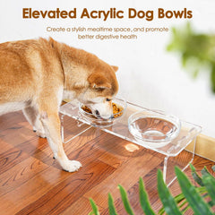 Feoyoho bols inox amovibles, faciles à nettoyer et durables.