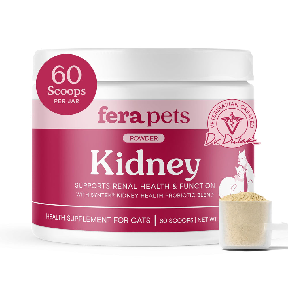Flacon de poudre Fera Pets pour soutien rénal du chat, pratique à ajouter à l’alimentation.