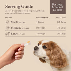 Fera Pets – choline en poudre, nutriments essentiels pour le métabolisme et l’énergie.