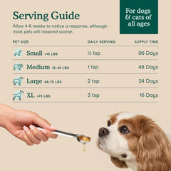 Fera Pets Huile d algues: chien actif avec peau saine