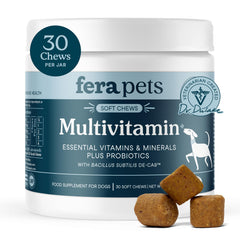 Fera Pets bouchées multivitaminées pour chien en bouteille, soutien énergie.