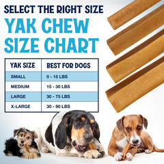 Texture ferme du Yak Cheese chew, premier plan.