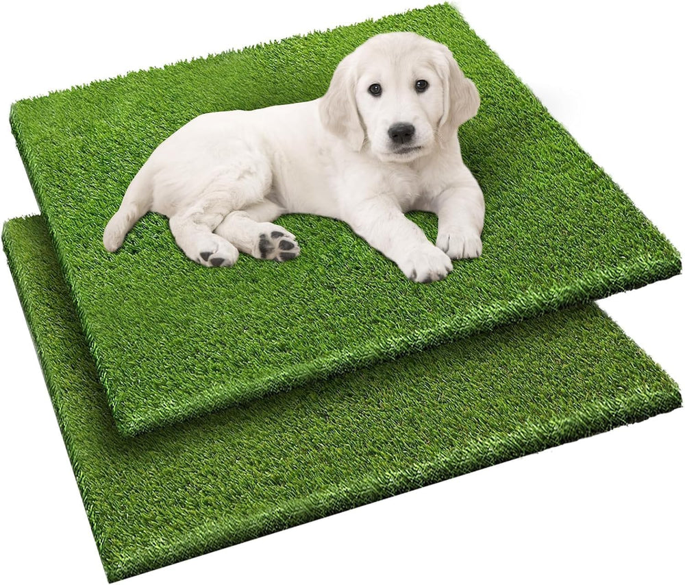 Fezep tapis herbe artificielle chien 26x30: confort et entraînement