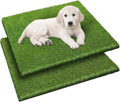 Fezep tapis herbe artificielle chien 26x30: confort et entraînement