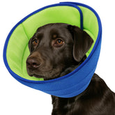 Fickte Collier conique doux pour chien, protection légère après chirurgie.