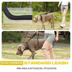 Laisse Fida ceinture taille idéale pour courir sans fatigue.