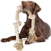 Jouet corde Fida, premier plan, tir ludique pour chien, favorise l'attention