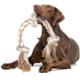 Jouet corde Fida avec 3 nœuds pour chien, pratique et sûr pour le jeu quotidien