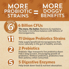 Fidobiotics Good Guts: 5 enzymes digestives pour chiens.