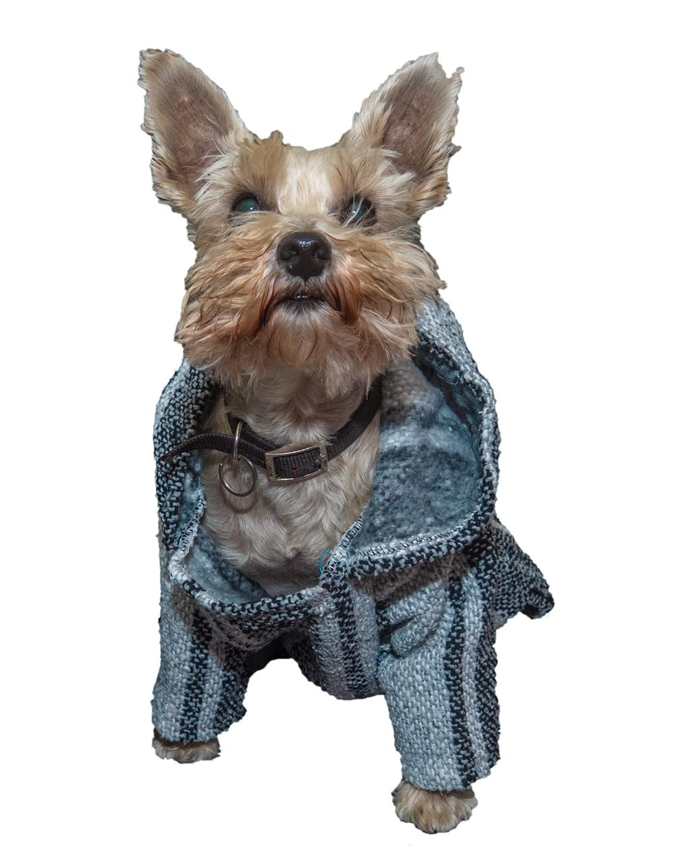 Fiesta Brands Poncho Baja pour Chien, vue frontale, style coloré et confort pour les promenades.