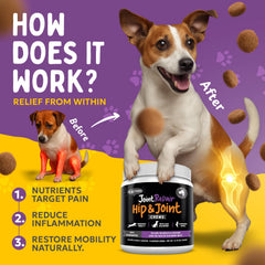 Propriété chanvre Finest For Pets soutenant les articulations et le bien-être